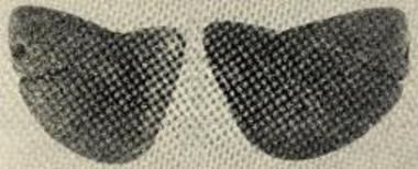 Σφραγίς εξ ηλέκτρου εκ του δρόμου του τάφου.