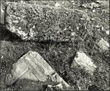 Ενεπίγραφος λίθος, πώρινος σπόνδυλος κλπ, ως ευρέθησαν ημίχωστοι, μετά επιφανειακόν καθαρισμόν του εδάφους.