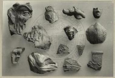 Θραύσματα πλαγγόνων και αγγείων εκ της λυγκηστικής Ηρακλείας.