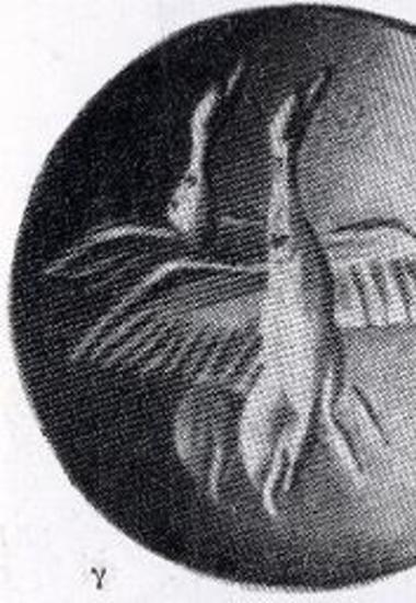 Σφραγιδόλιθος τάφου 2 Μυρσινοχωρίου. Ζεύγος νησσών ιπταμένων προς τον ουρανόν (πρίσμα αμεθύστου).