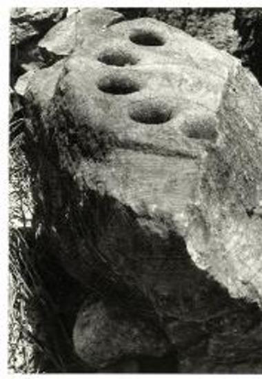 Τμήμα κέρνου.