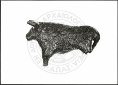 Stier (X 4363).