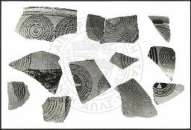 Πρωτογεωμετρικά όστρακα από την επίχωση.