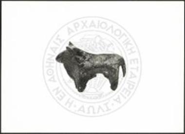 Stier (X 3554).