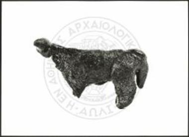 Stier (X 3327).