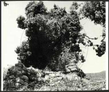 Βυζαντινόν κτήριον. Σωζόμενον ύψος κατά το μέσον του νοτίου τοίχου.