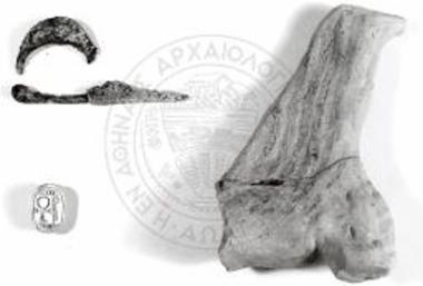 Fibula, bird figurine, scarab.