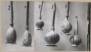 Α, σύμβολον θεάς, 1, β-δ Μήκων η υπνοφόρος (Papaver somniferum), ε-ζ Μήκων η ροιάς (P. Rhoeas).