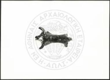 Stier (X 4944).