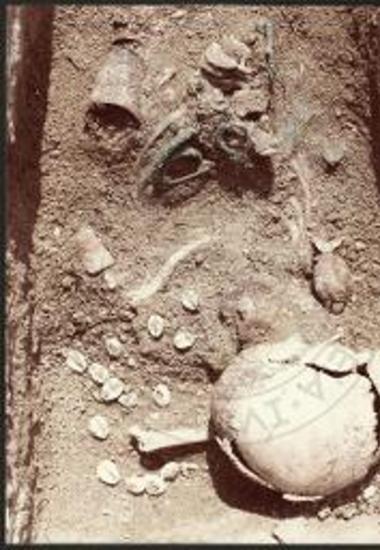 Κτερίσματα του τάφου αριθ. XXVIII: λύκηθοι, πόρπες, κογχύλια.