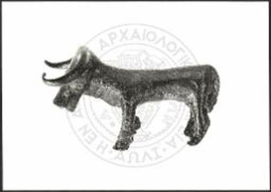Stier (X 3515).