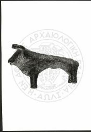 Stier (X 3917).
