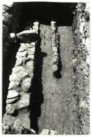 (EN) TR1 tr2. View from NE at the conclution of excavations.