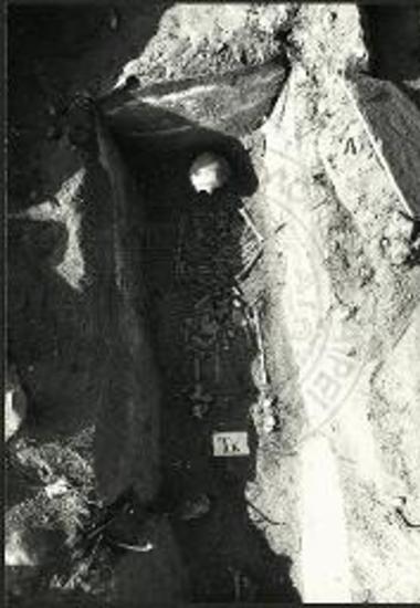 Οι τάφοι ΤΕ.