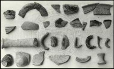 Όστρακα από την τομή ΔΔ18.