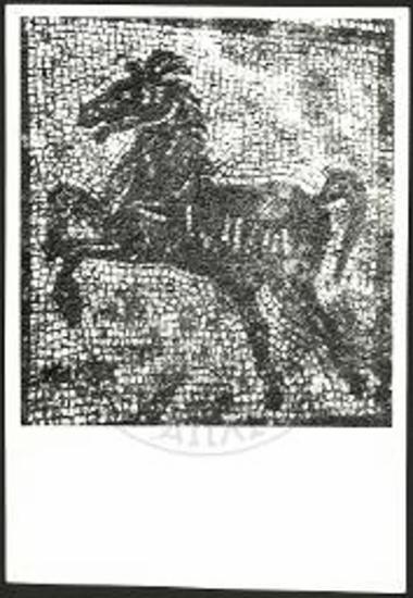 Ίππος εκ του μωσαϊκού δαπέδου του δωματίου ΙΙ.