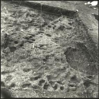 Νοτιοανατολικό τμήμα οικίας με εστία και πασσαλόπηκτο τοίχο ( ). Βορειοδυτικά υπαίθριος χώρος ( )-βόθρος.