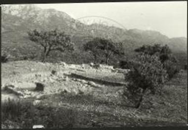 Βασιλική Ιεράπετρας. Κορυφή Κεφαλιού: επέκτασις ανασκαφής Βορείου Οικίας προς Ν. Από ΒΔ. Η ελαία αριστερά επί του μεγάλου σωρού των χωμάτων Seager.