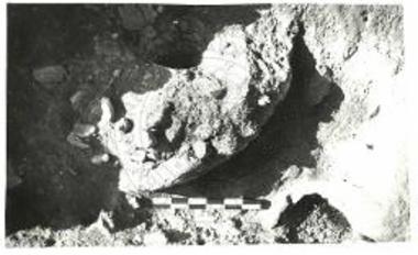 Τομέας VA (δυτικό τμήμα): κλίβανος και αγγείο με σπόρους.