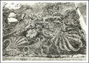 Κανάλι. Ψηφιδωτό δάπεδο με φυτική διακόσμηση.