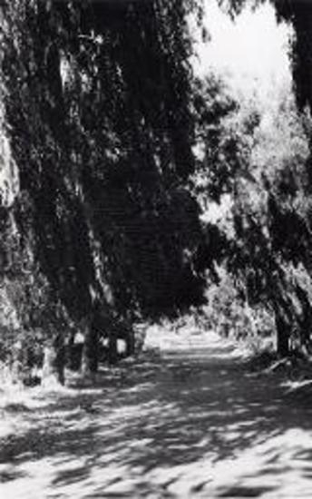 Η λεωφόρος Κεφαλοβρύσου.