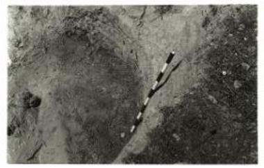 Ο αρχαίος κλίβανος ορώμενος εκ των άνω, εκ της ομαλής επιφανείας του αγρού. Δάπεδον με μαύρα χώματα και τέφραν.