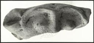 Πήλινη κεφαλή βοοειδούς.