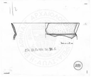 Όστρακο από λεπτόφλουδο κύπελλο.