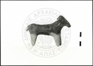 Ram with narrow body.