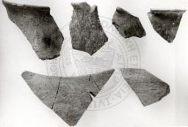 Όστρακα ΠΕ βαθέων ραμφόστομων φιαλών.