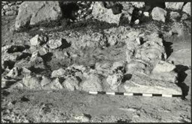 Οικία Γ. Ο χώρος Γ1, από Ανατολών. Εις το βάθος αποκυλισθέντες λίθοι του Κυκλωπείου.