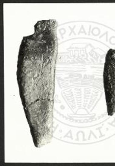 Θραύσματα ελασμάτων. Κνήμες αντρικής μορφής σε κατατομή προς δεξιά.