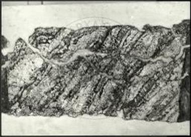 Τοιχογραφία με απομίμηση ορθομαρμάρωσης (αρ. κατ. 21), λεπτομέρειες: α) Το ορθογώνιο δ.