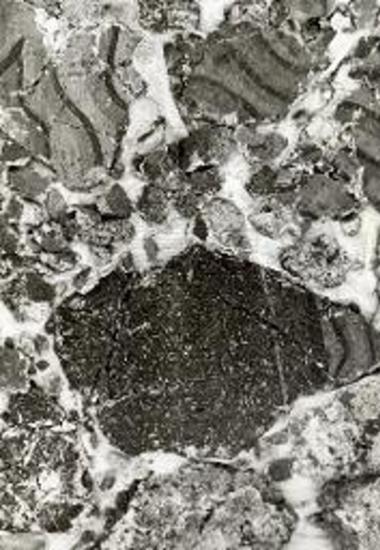 Τοιχογραφία εκ του υποτομέως ΥΠ - ΘΙV.