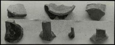 Όστρακα από την τομή ΔΔ/8.