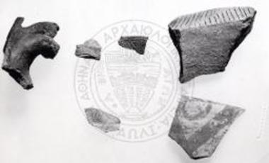 Όστρακα ΠΑ και ΜΕ αγγείων.
