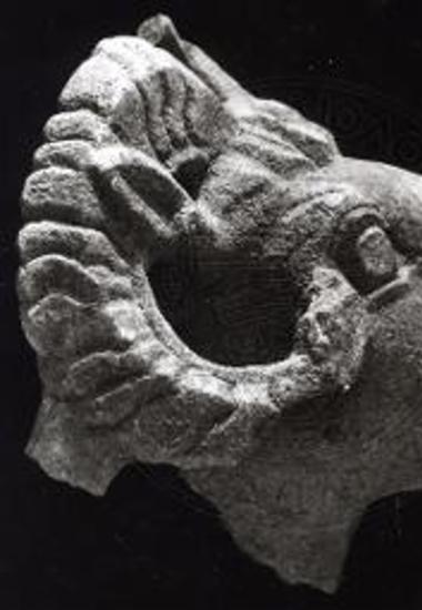 Η κεφαλή κριού κατά κρόταφον.