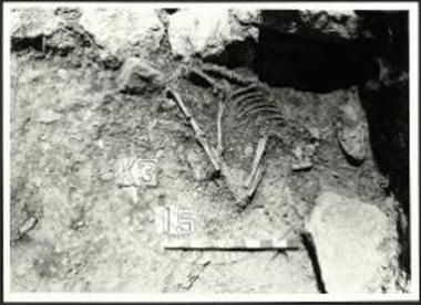 Ενταφιασμός σκύλου στον περίβολο του μνημείου Κ3