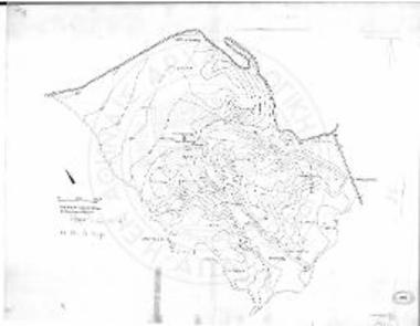 Τοπογραφικόν σχέδιον περιοχής Καρποφόρας - Ριζομύλου.