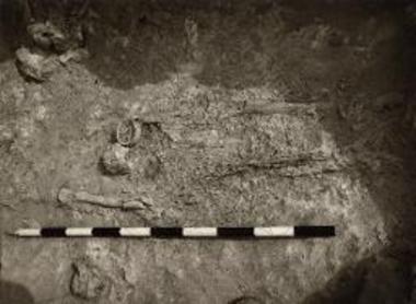 Ο νότιος ακέφαλος σκελετός.