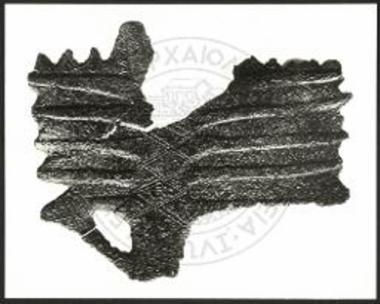 Έλασμα με αποσπασματικά διατηρημένη παράσταση. Κλαδιά δέντρου και χέρι.