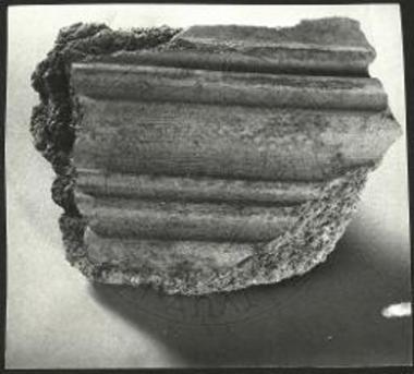 Γύψινον κυμάτιον.