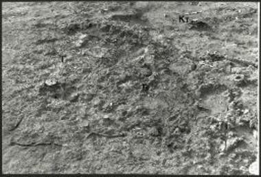 Κτίριο 4, Χώρος Γ. Άποψη από ΝΑ.