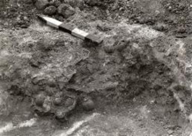 Σφαιρικοί αρύβαλλοι κατά χώραν, από το εσωτερικό του ΚΚ/119.