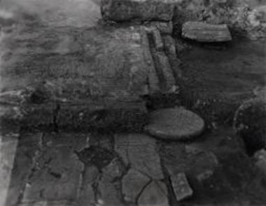 Κατά χώραν βάσις του διλόβου ανοίγματος (από Δ.)