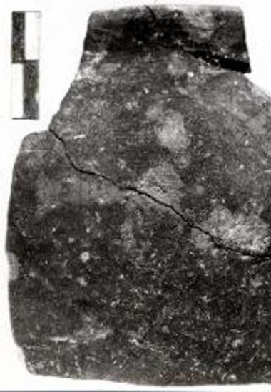 Τύμβος Αγ. Ιωάννου Παπουλίων, τμήμα μινυείου αγγείου.