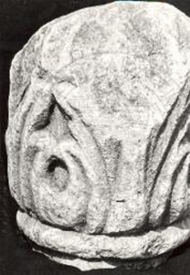 Κιονόκρανο αμφικιονίσκου