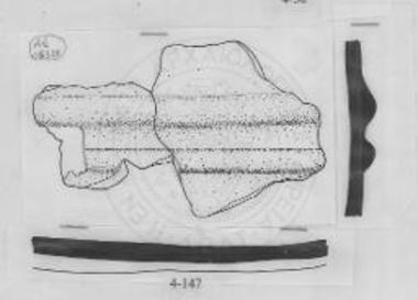 Απόφυση αγγείου.