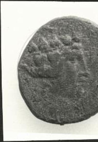 Νόμισμα Μαρωνείας εκ της οικίας 5. Εμπροσθότυπος.