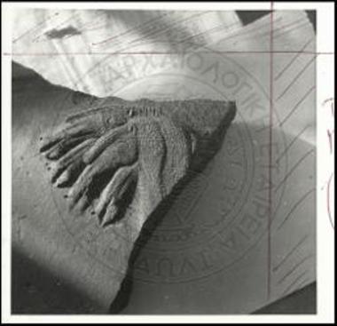 Τεμάχιον αναγλύφου αμφορέως.